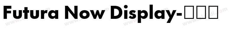 Futura Now Display字体转换